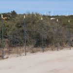 14-Feild-Fence-With-Barbed-Wire-On-T-Post-1024x769