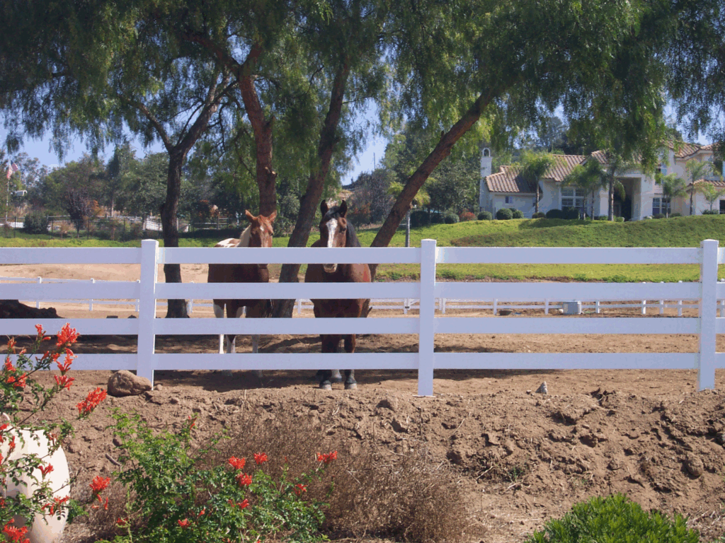 White vinyl ranch rail by Alpine Fence Company.