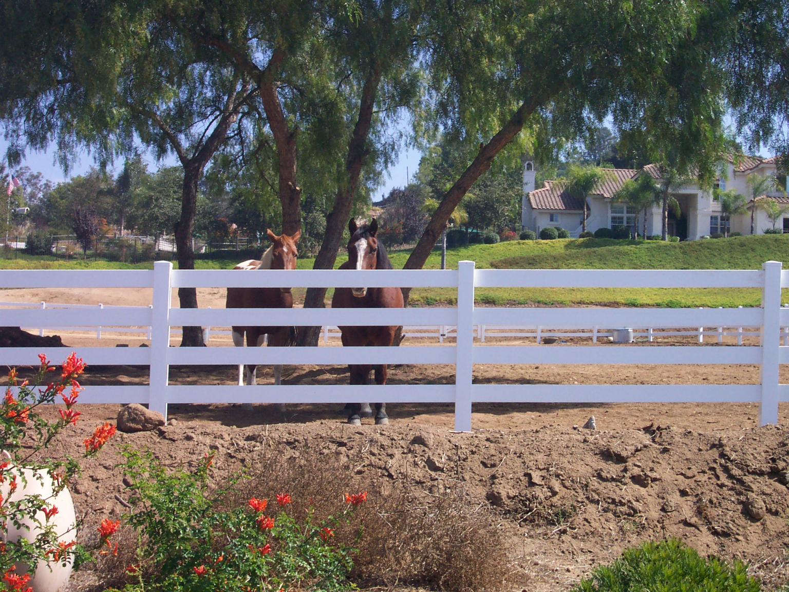 White vinyl ranch rail by Alpine Fence Company.